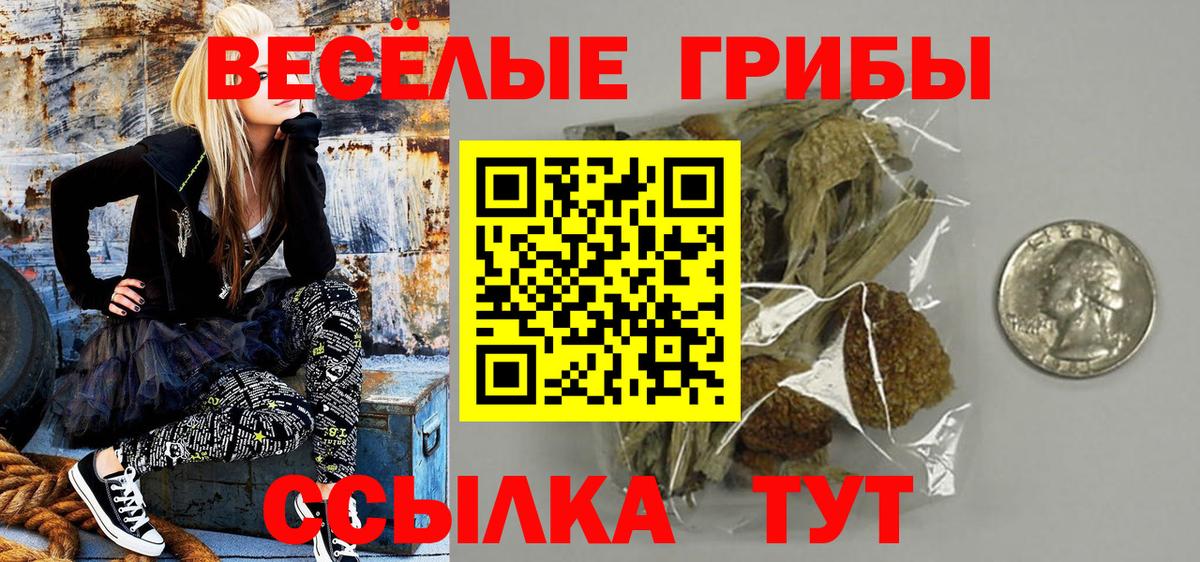 Тольятти  Псилоцибиновые грибы прущие грибы  Галлюциногенные грибы Psilocybe  Вход с VPN 